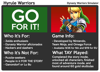 Illustration for article titled Hyrule Warriors: The TAY Review